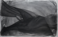 In Softness, In Stillness