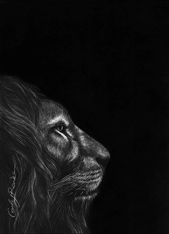 Stræbe vandtæt Vandret Lion – Print – Carly Renee